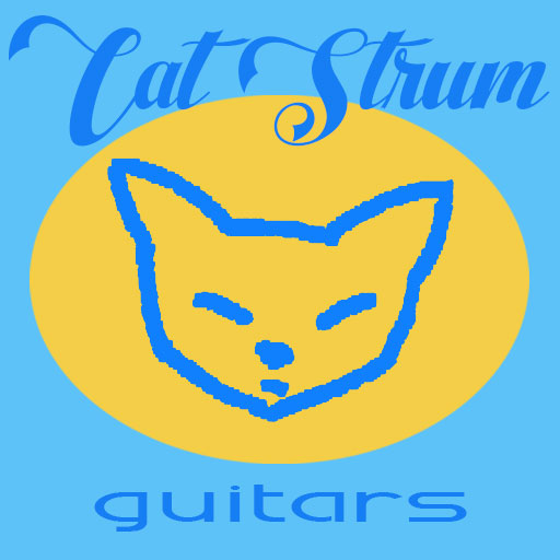 Guitar Repair Luthier Technician Orlando FL - CATSTRUM GUITARS